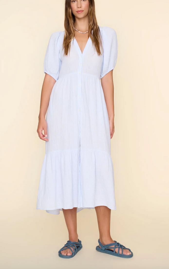 pale sky lennox dress