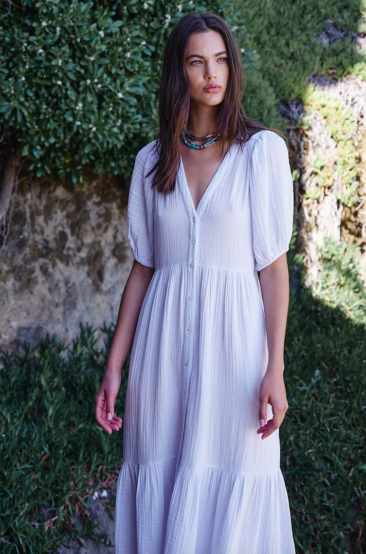 pale sky lennox dress