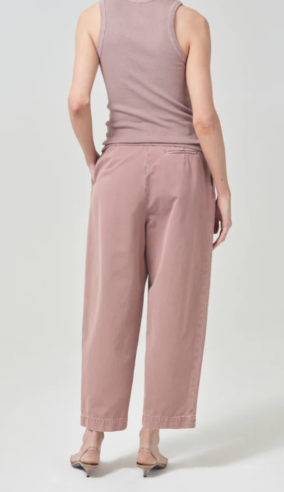 Becker chino in spider lily