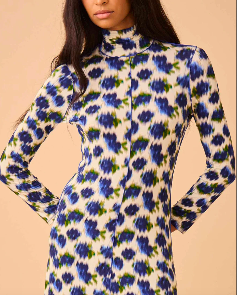 Kings hill dress in ikat rose