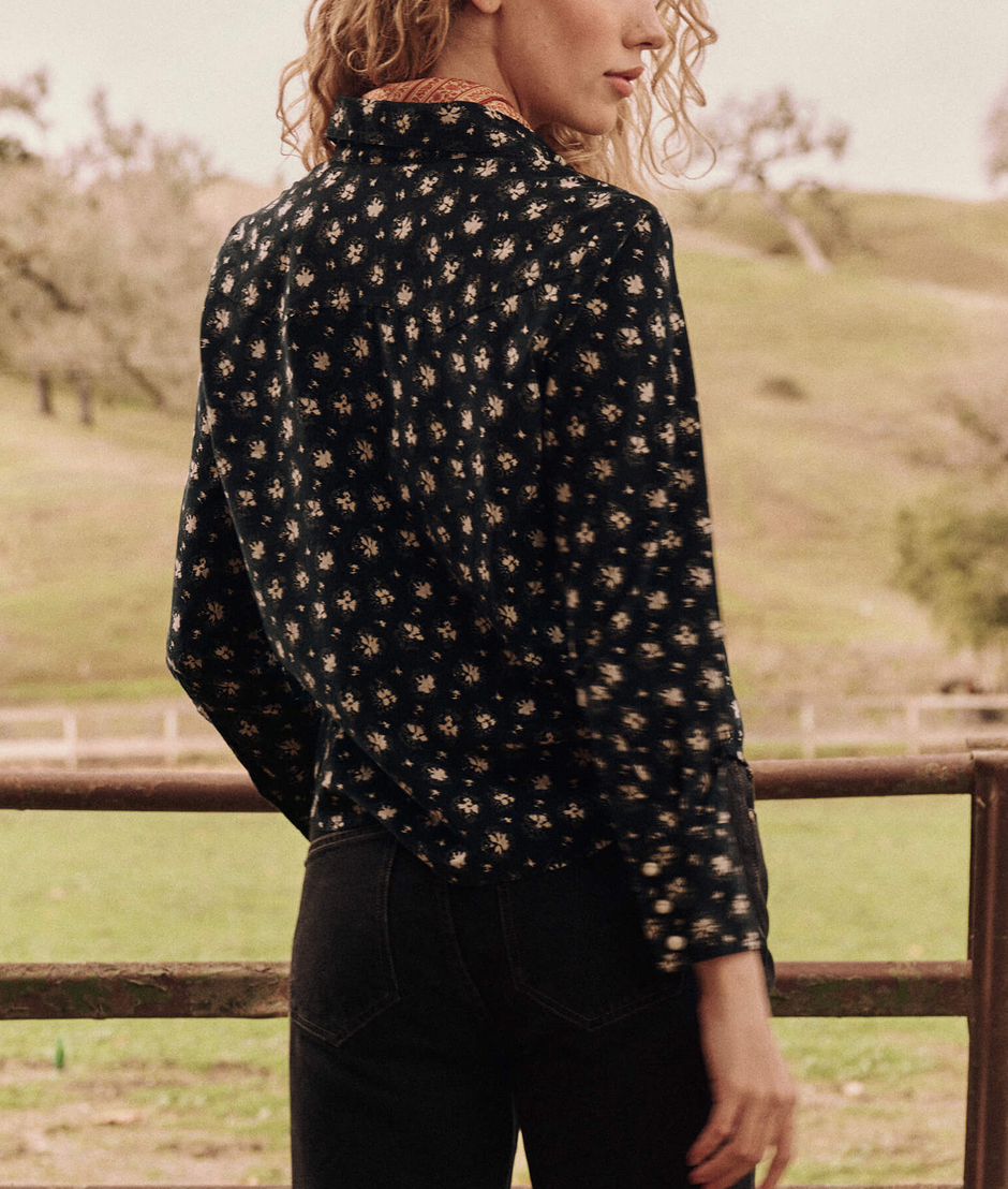 the howdy top night lily