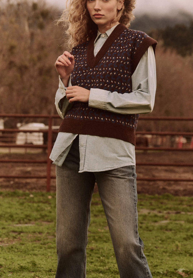 the sweater vest driftwood paisley