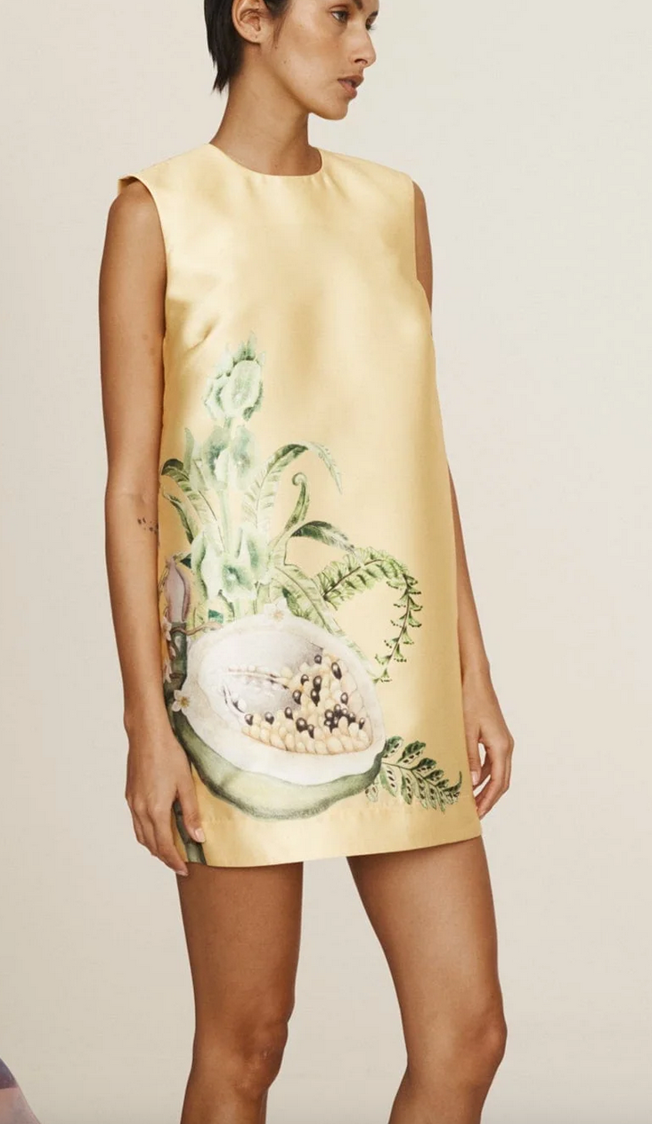 Sol mini dress lemon