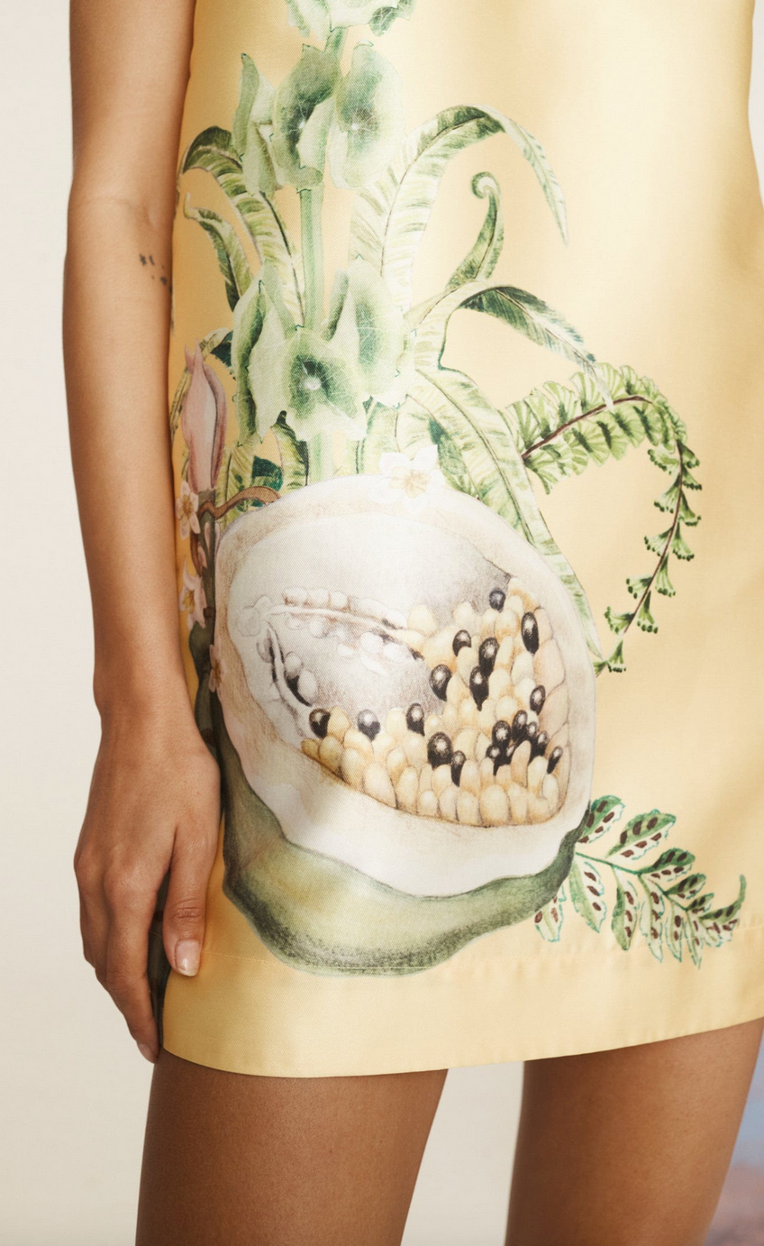 Sol mini dress lemon