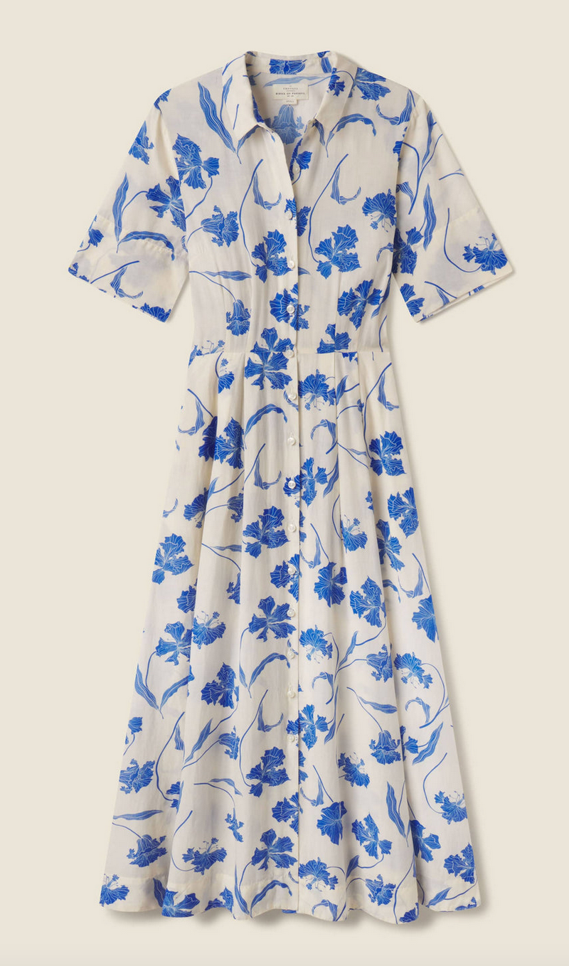 aster dress blue iris