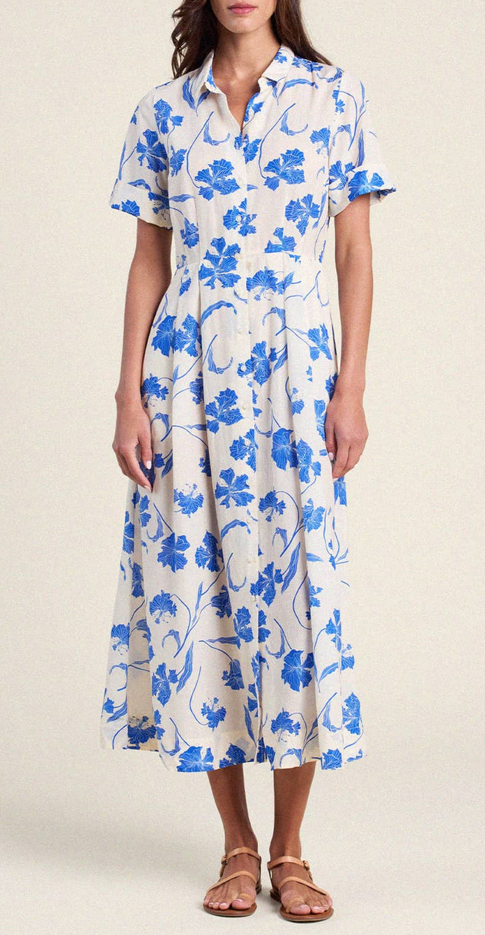 aster dress blue iris