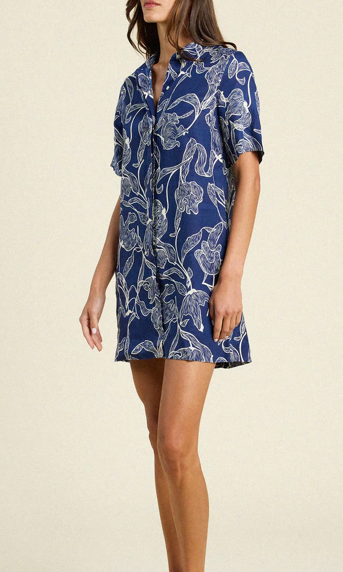 dana dress high tide