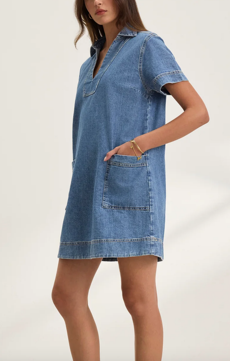 Delana denim dress