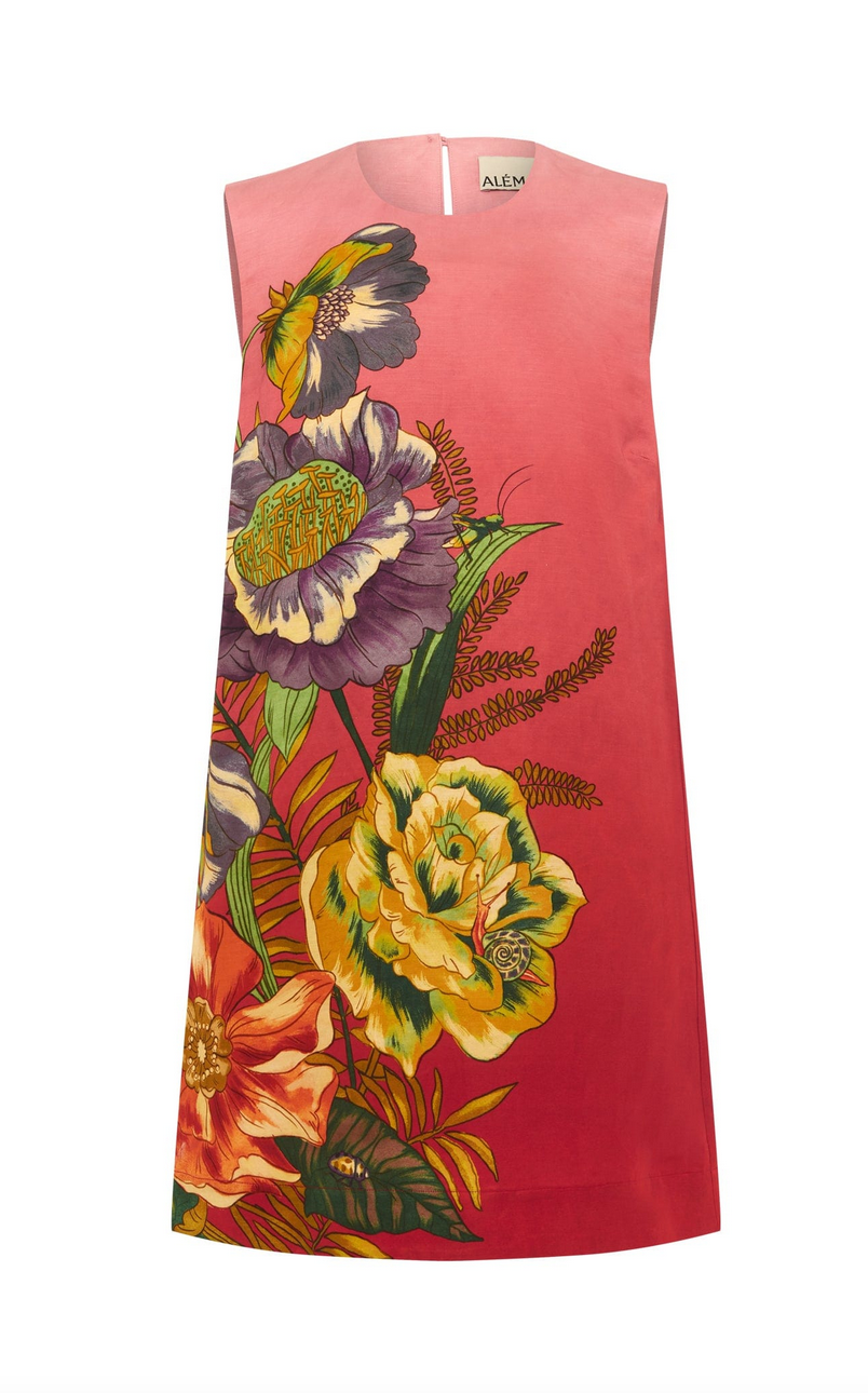 Inesz mini dress pink ombre