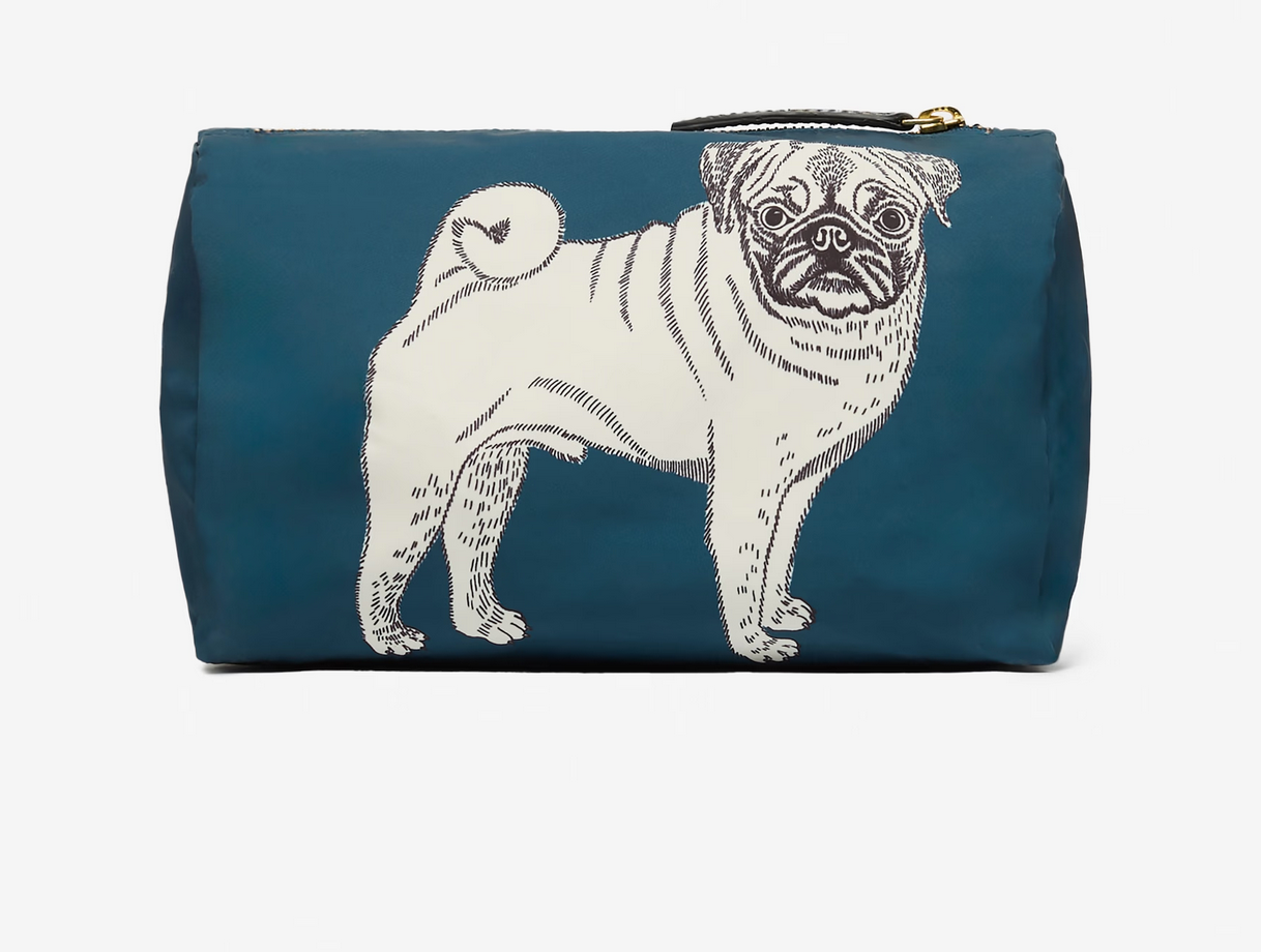 nylon case toutou duck blue small