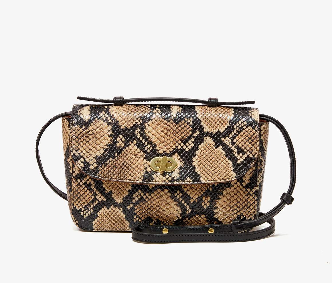 kathryn desert snake