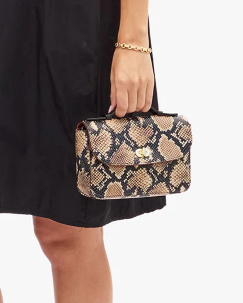 kathryn desert snake