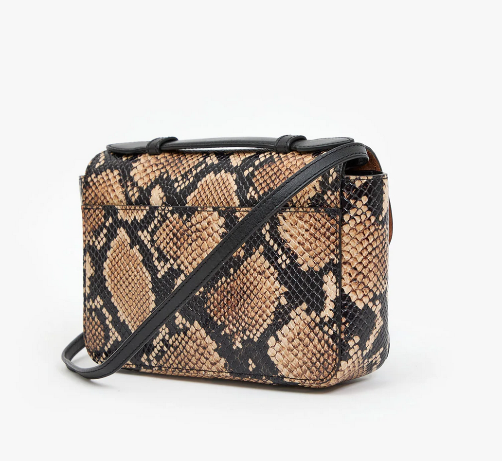 kathryn desert snake