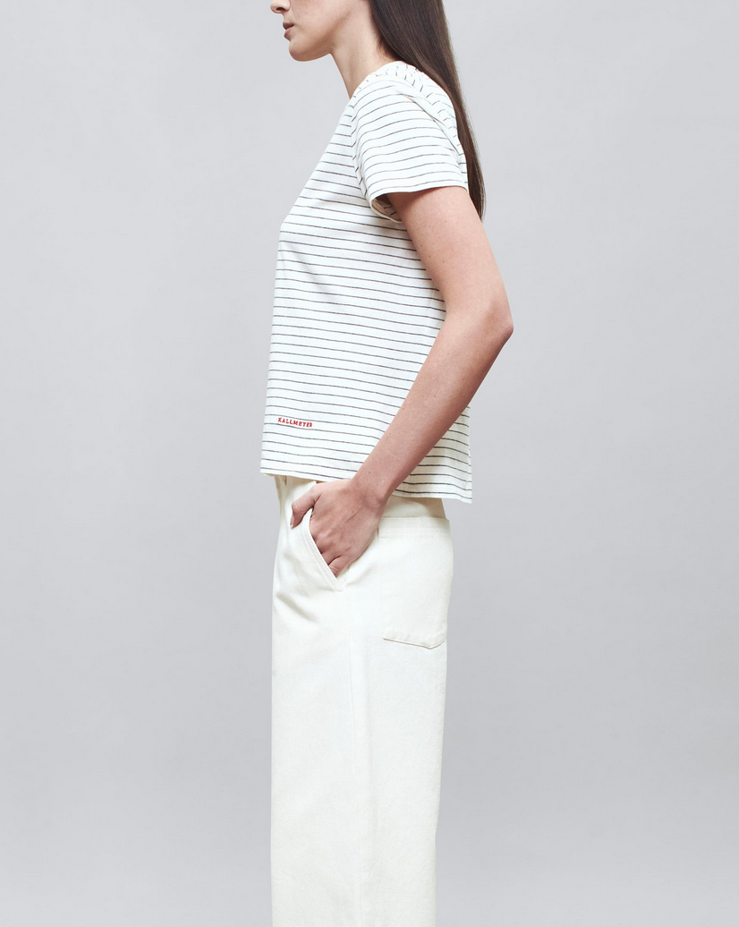 Kenzie t-shirt in ivory and heather multi stripe