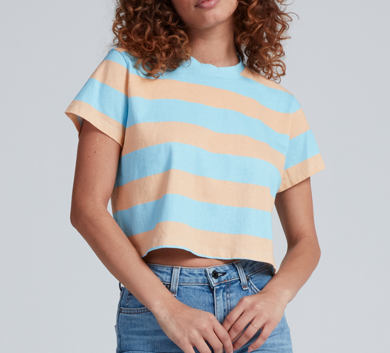 Shrunken Boy Tee Palm Stripe