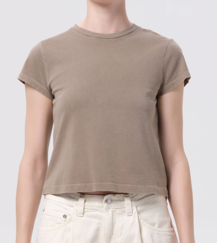 Adine Shrunken Tee in Trail