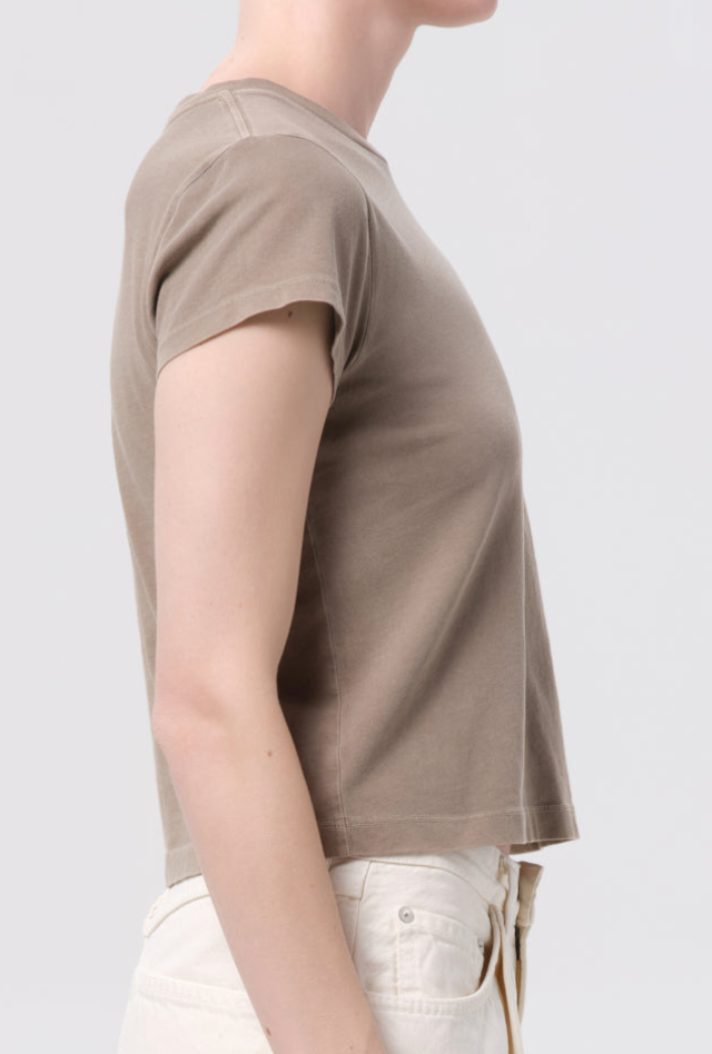 Adine Shrunken Tee in Trail