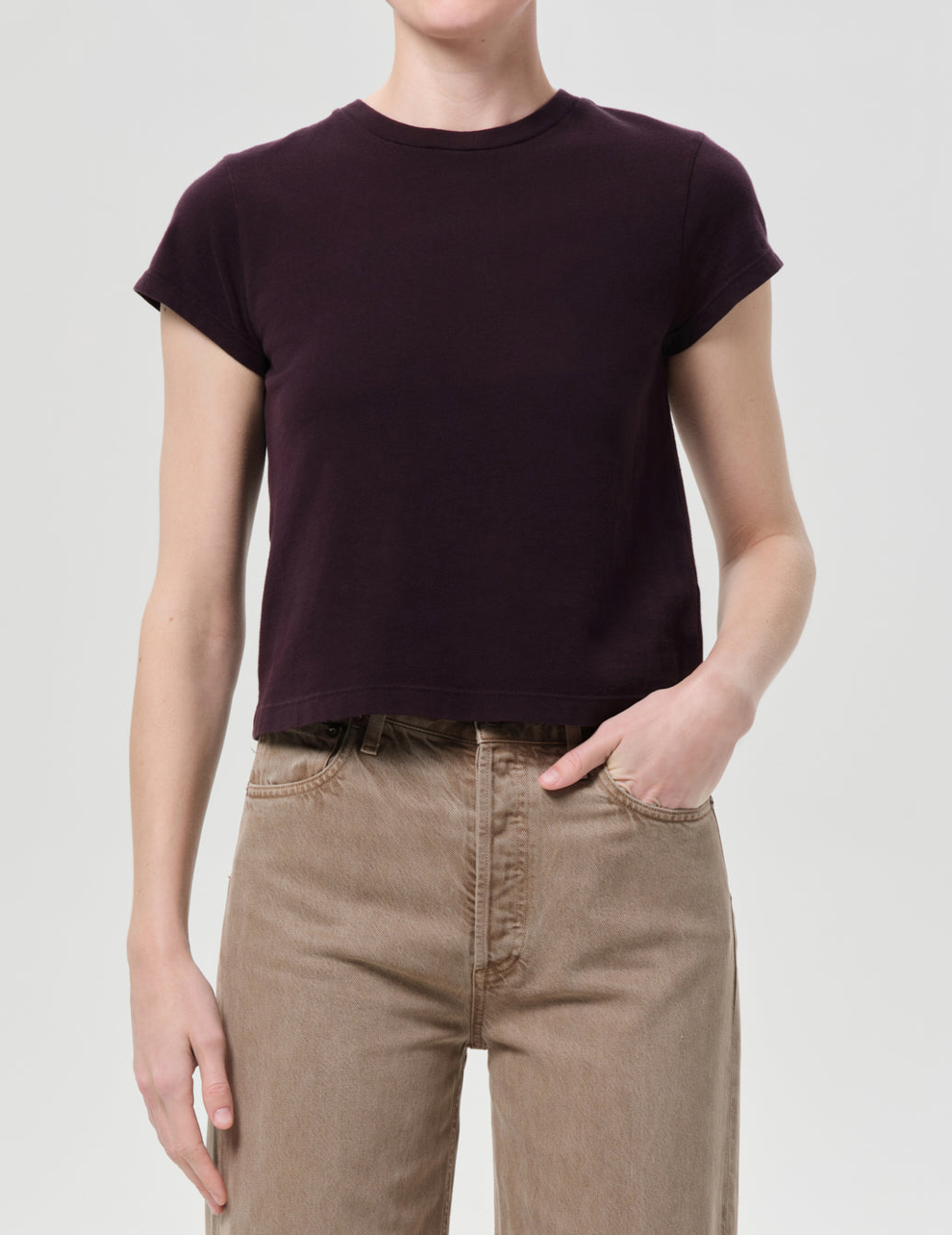 Adine Shrunken Tee In Eggplant