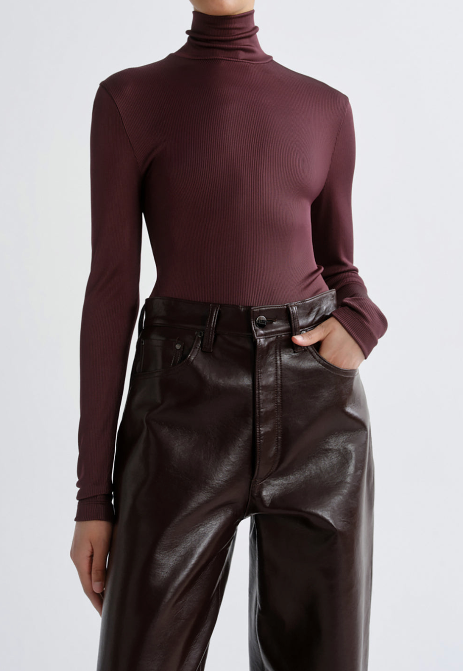 Carlyle Turtleneck In Corinth