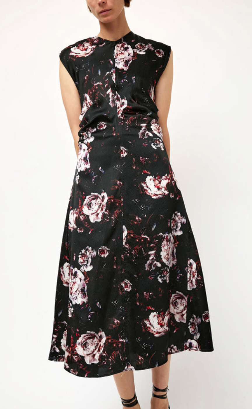 Rochelle Dress In Black Rose