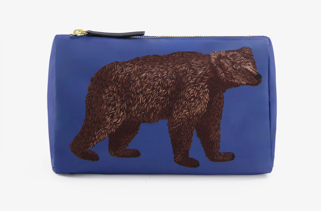 Small Case Ours Blue