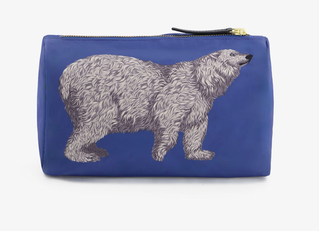 Small Case Ours Blue