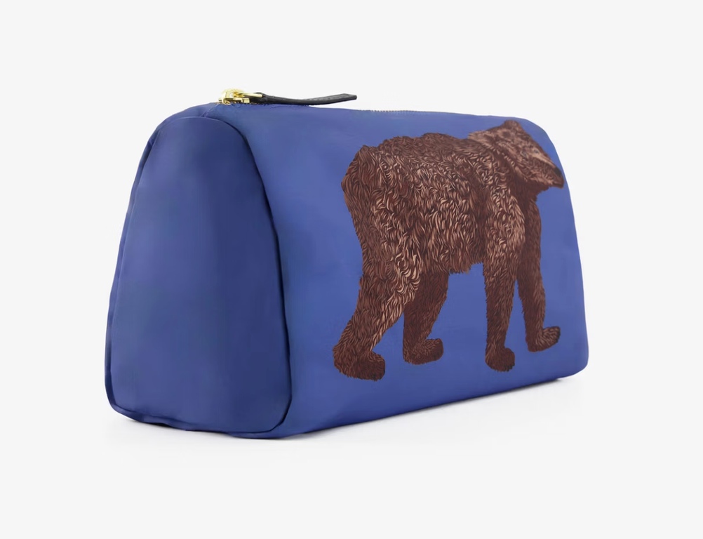 Small Case Ours Blue