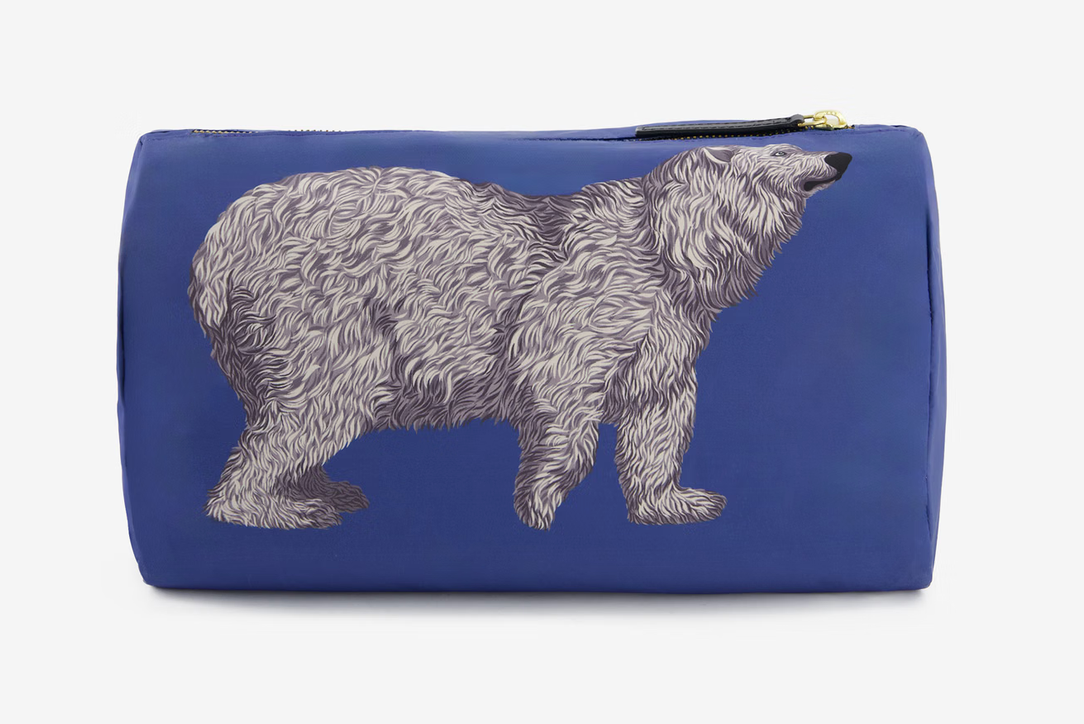 Medium Case Ours Blue